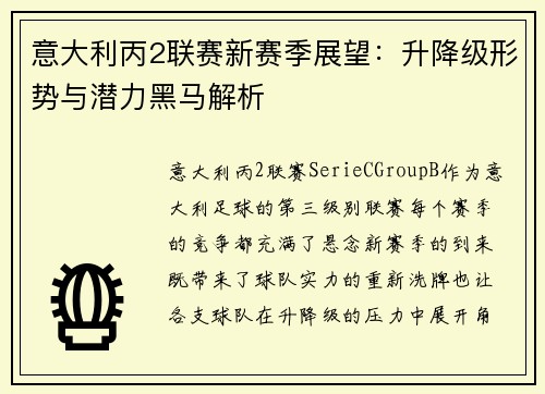 意大利丙2联赛新赛季展望：升降级形势与潜力黑马解析
